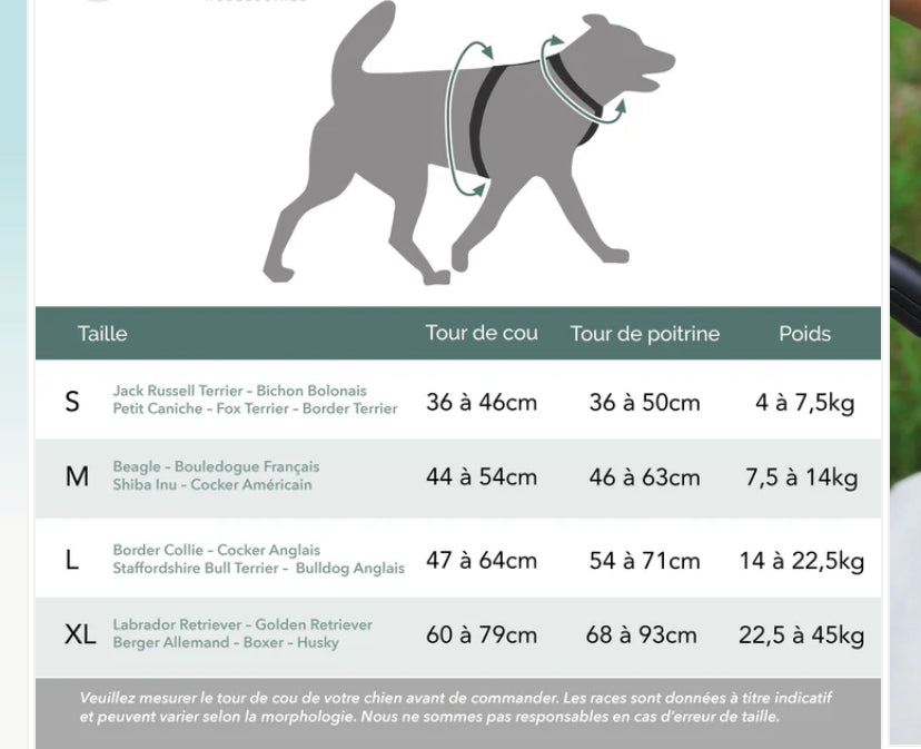 Harnais Anti-Traction – Contrôle, confort et sécurité en promenade